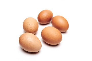 chicken eggs on a white background