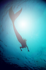 A silhouette shot of a mermaid swimming in solitude in the deep blue sea - ALL design on this image...