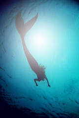 Image of A silhouette shot of a mermaid swimming in solitude in the deep blue sea - ALL design on this image is created from scratch by Yuri Arcurs team of professionals for this particular photo shoot printed on Printed Glass Basin Splashbacks