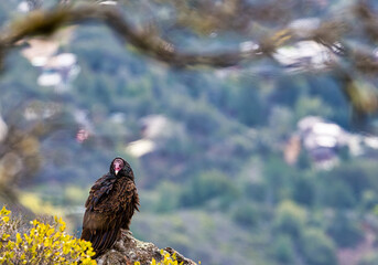 Are you talking to me?