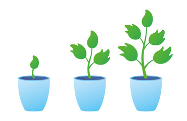 Flowerpot with houseplant sprout, small and big green plant in a pot isolated. Gardening, seedling growth stages flat vector illustration.