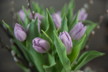 bukiet fioletowych tulipanów - obrazy, fototapety, plakaty