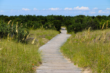 Fototapeta premium path in the countryside
