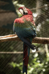 vida en la naturaleza