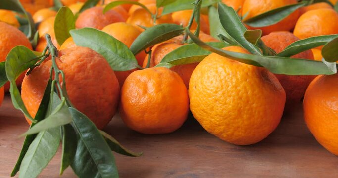 Close Up Of Organic Tangerines Freshly Picked From The Tree. slider