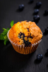 Muffins with Blueberries on Black Chalkboard with Copy Space. Selective focus.
