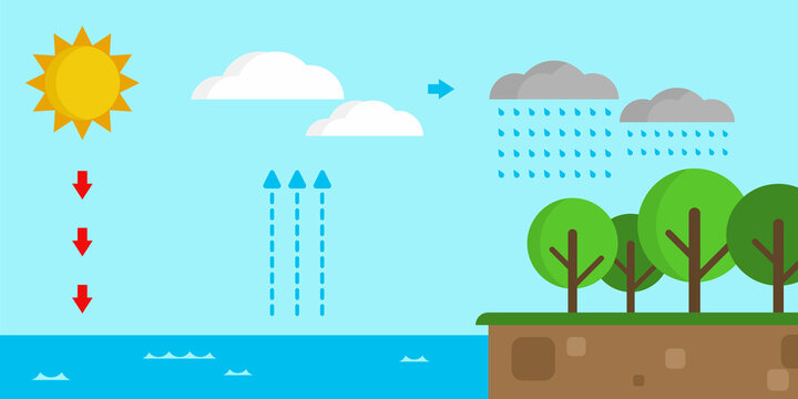 Water Cycle Images – Browse 155,434 Stock Photos, Vectors ...