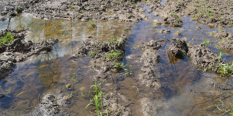 The texture of the mud or wet soil. Dirty mud road with water.