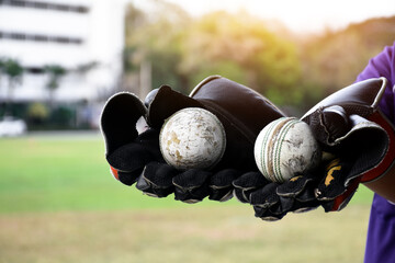 Old cricket balls in cricket wicket keeping gloves of cricketer, blurred school green grass court background, soft and selective focus. - obrazy, fototapety, plakaty