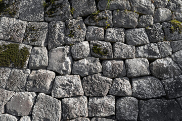 Old stone wall in the form of a mosaic with mushrooms and gray color