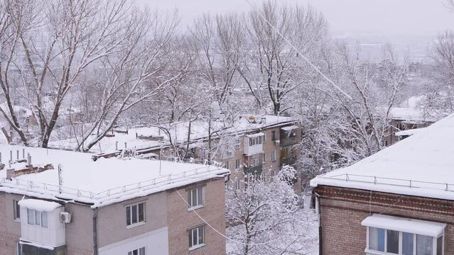 Snow Falls from the Tops of Trees in the Courtyard of Old Residential Buildings. Top view. Snow lies on the roofs of multi-story buildings. Quiet, calm weather. Winter landscape in the city.
