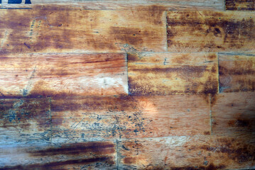 piece of natural wood for abstract texture background use with space for text