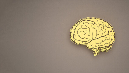 Brain shape made from paper on a gray background
