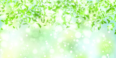 新緑　葉　春　背景 © J BOY