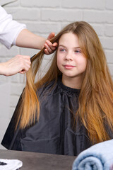 Fototapeta premium Hairdresser making a hair to cute girl in hair salon. Young girl at hairdresser