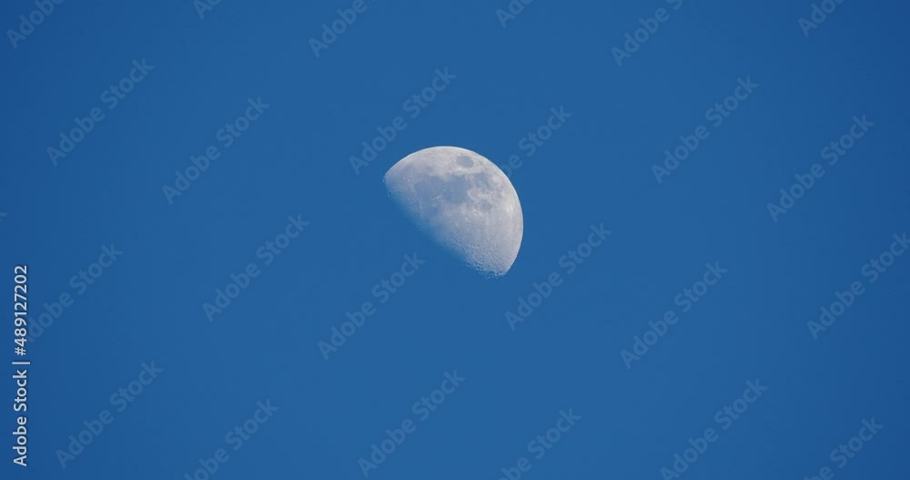 Canvas Prints half moon on a clear day with no clouds