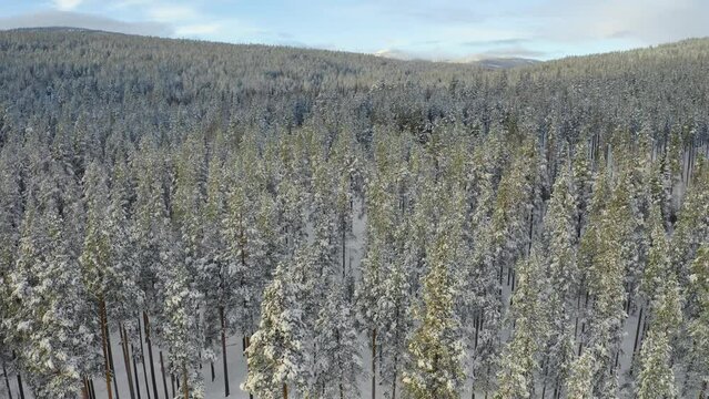 Drone ascends from trees and rotates over to the right showing the mountains around the town of Atna, Stor Elvdal in Norway. Sunny winter day in 4K.