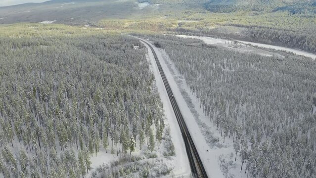 High drone shot of the road through the forest in Stor Elvdal, near the town of Atna, Norway. Slow tilt up following a car driving. 4k.