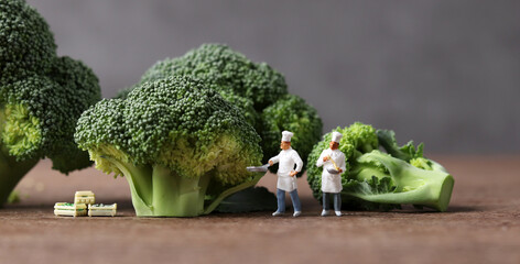 Fresh broccoli and miniature chefs. Fresh greens and miniature people with business concept.
