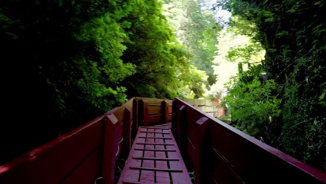 Dolly in of red wooden deck hidden between green dense rainforest in Termas Geometricas hot spring complex, Co&ntilde;aripe, Chile