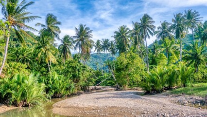 Wide angle view of a dry riverbed surrounded by a lush tropical landscape with a mountainous background in a rural area on Mindoro Island in the Philippines.