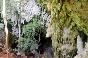 Different Thailand images, streets, markets, temples, buildings, rivers, beaches, and national parks.

