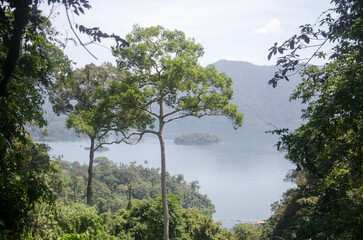 Different Thailand images, streets, markets, temples, buildings, rivers, beaches, and national parks.

