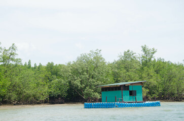 Fototapeta premium Different Thailand images, streets, markets, temples, buildings, rivers, beaches, and national parks.