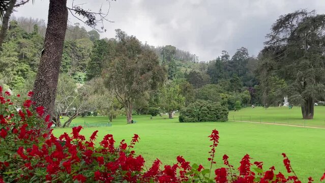 View of Botanical Garden Ooty