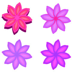 Fototapeta na wymiar Set of four pink flowers