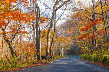 Oirase stream in Aomori prefecture, Tohoku, Japan.