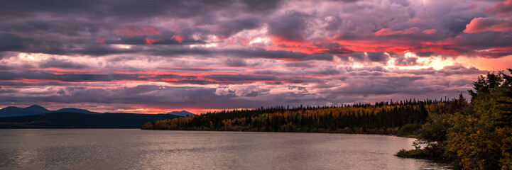 Stunning pink and purple sunset sky in northern Canada during fall, autumn season. Dramatic clouds seen above a large lake in Yukon Territory in panoramic photo style. 