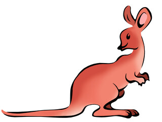 Illustration of a baby kangaroo
