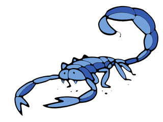 Illustration of an aggressive scorpion