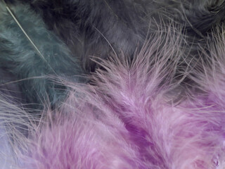 Texture feathers blue and violet.