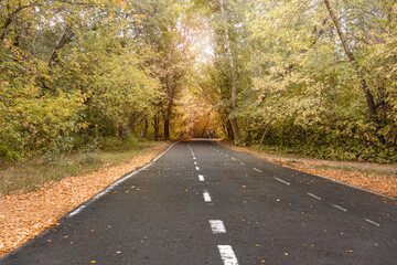 a treadmill with markings in an autumn park, two adults are running along the path. golden leaves, autumn park, jogging, marathon,