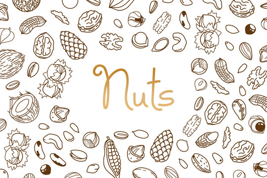 Vector frame, packaging design of nut and seed mix or snack. Walnut, peanut and sunflower seeds. Almond, pistachio, cashew, hazelnut and macadamia. Illustration in line art style