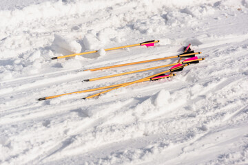 Arrows in the snow. The hunter dropped his arrows into the snow.