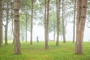 woman with pine trees in misty nature