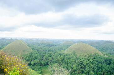 View, details and landscape of Bohol and Siquijor Islands.