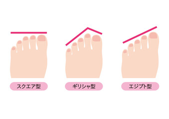 足の形のタイプ