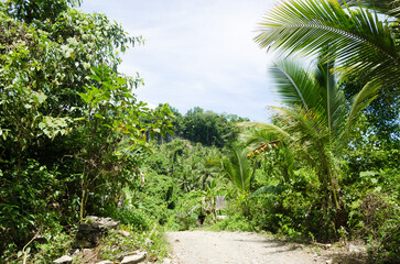 Fototapeta premium View and landscape of Mindanao Region, The Philippines, Lanuza area and Cortes.