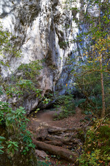 Image of a hiking trail in the mountains.