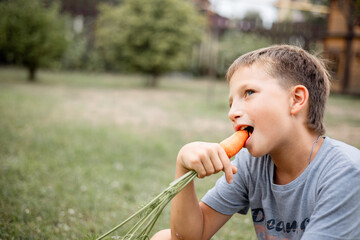 Boy sitting on green grass and eating ripe fresh carrots in garden. Portrait of child eating vegetable with green tops in outdoors. Concept of harvest, agriculture, healthy and organic food.