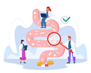 Tiny doctors examining gut flora flat vector illustration. Therapists checking digestive system, gastrointestinal tract, bowel, friendly microorganisms or bacteria. Nutrition, health concept - obrazy, fototapety, plakaty