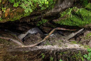 Breitachklamm near Oberstdorf Allgäu, Bavaria, Germany.