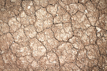Natural detail seamless dry soil cracked texture brown background.top view