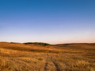 Steppe and yellow field in Ukraine.