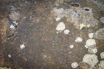 Fototapeta premium Light gray texture of the stone close-up. Place for text, title