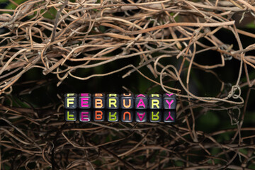 Alphabet mote blocks arranged into "February" against the background of dry twigs of vines.